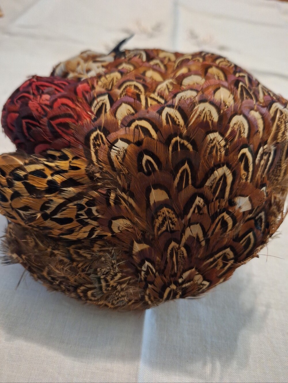 Vintage Feathered Cocktail Hat with Red and Brown Pheasant Feathers - Picture 3 of 7